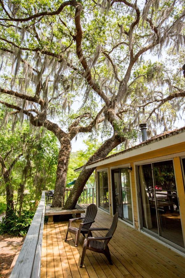 Riverfront Treetop Bungalow هوموساسا المظهر الخارجي الصورة